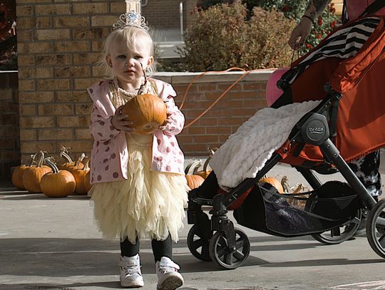 Downtown Trick-or-Treat: Kids take over Main Street with Candy Crawl