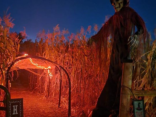 Honey Acre Farms is hosting a haunted maze.