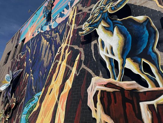 Montrose Bucks deal is back as DART heads into the holidays