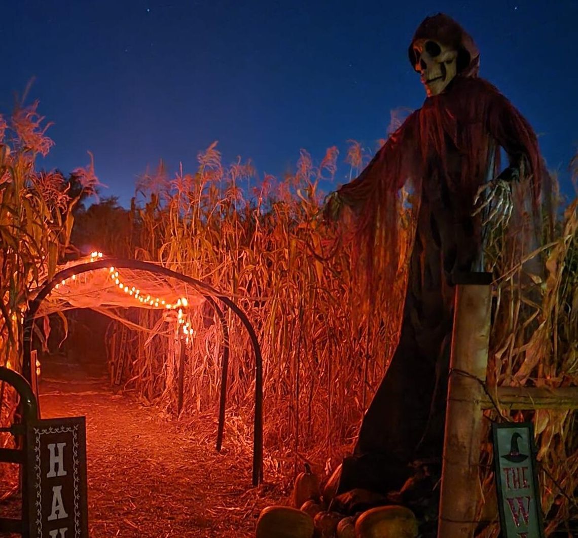 Honey Acre Farms is hosting a haunted maze.