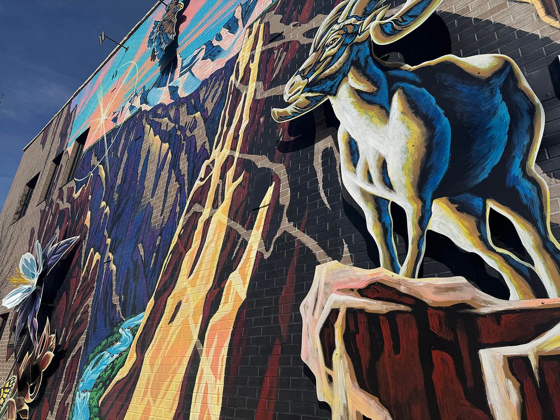 Montrose Bucks deal is back as DART heads into the holidays Montrose Bucks deal is back as DART heads into the holidays